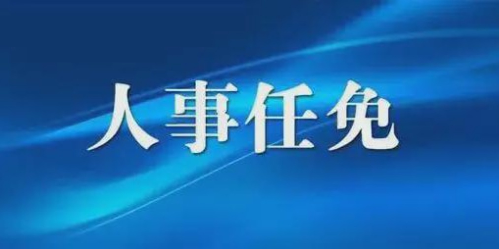 成都人事任免背后的故事，小巷獨特風(fēng)味小店與城市的脈動(dòng)