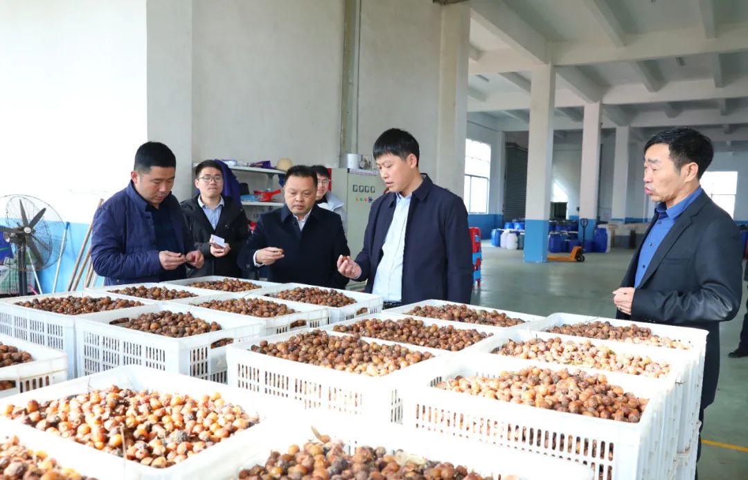 建寧最新新聞，城市溫馨日常與友情力量的展現