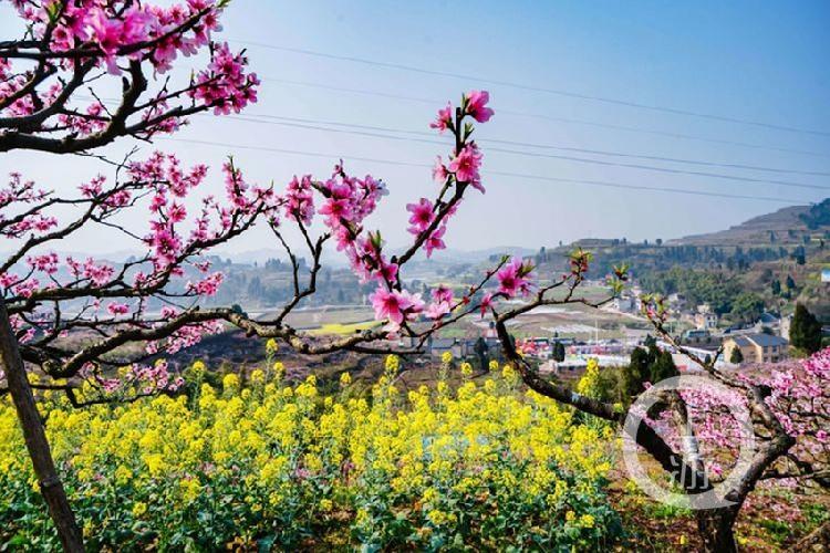 合川最新科技新聞，高科技產(chǎn)品引領(lǐng)未來(lái)生活潮流