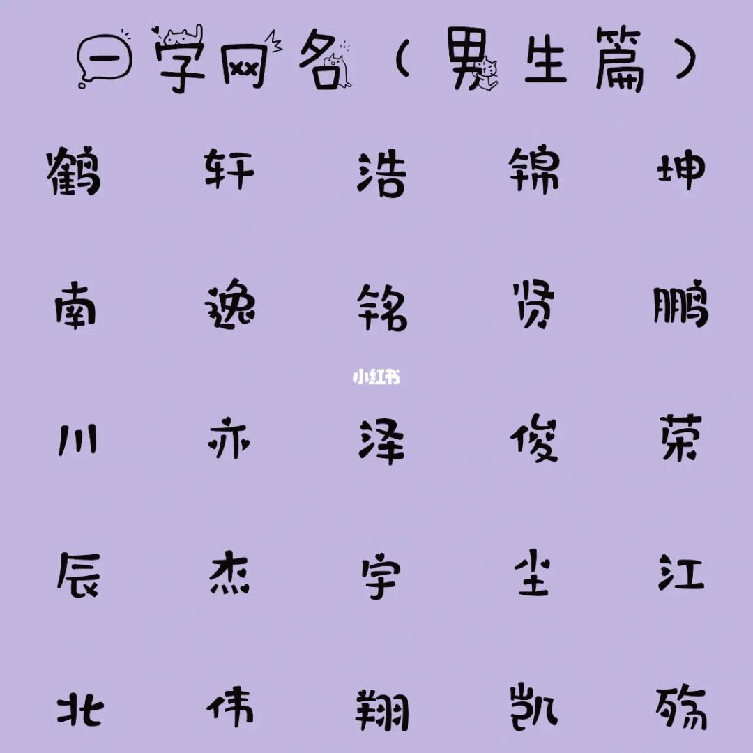 最新男生網(wǎng)名，時(shí)代潮流與虛擬身份的完美融合塑造