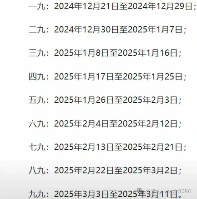 最新久久網(wǎng)2025，友情小船與溫馨日常的交織