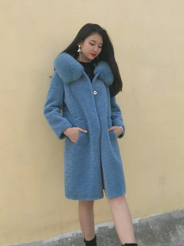 三七花最新價(jià)格揭秘，溫馨小故事中的尋找之旅