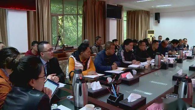 德昌最新新聞，擁抱自然，心靈寧靜之旅啟程