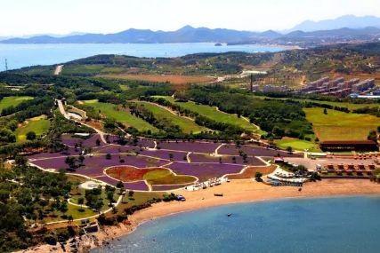 心悅海島探險攻略，最新任務(wù)指南與探險體驗