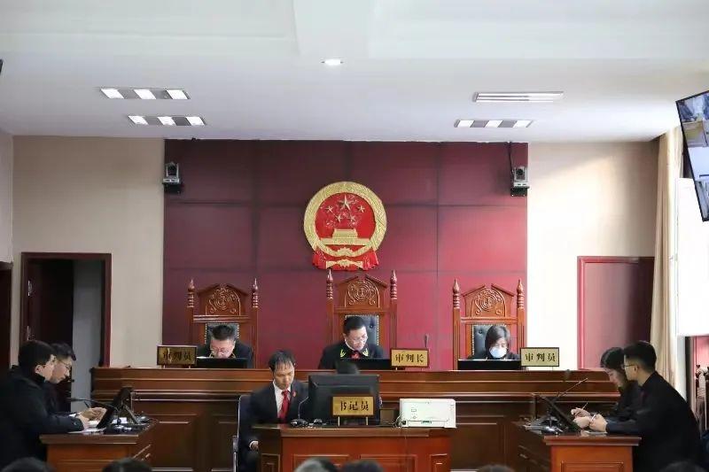 偏關(guān)最新案件深度解析，揭示真相，關(guān)注社會(huì )公正與公平