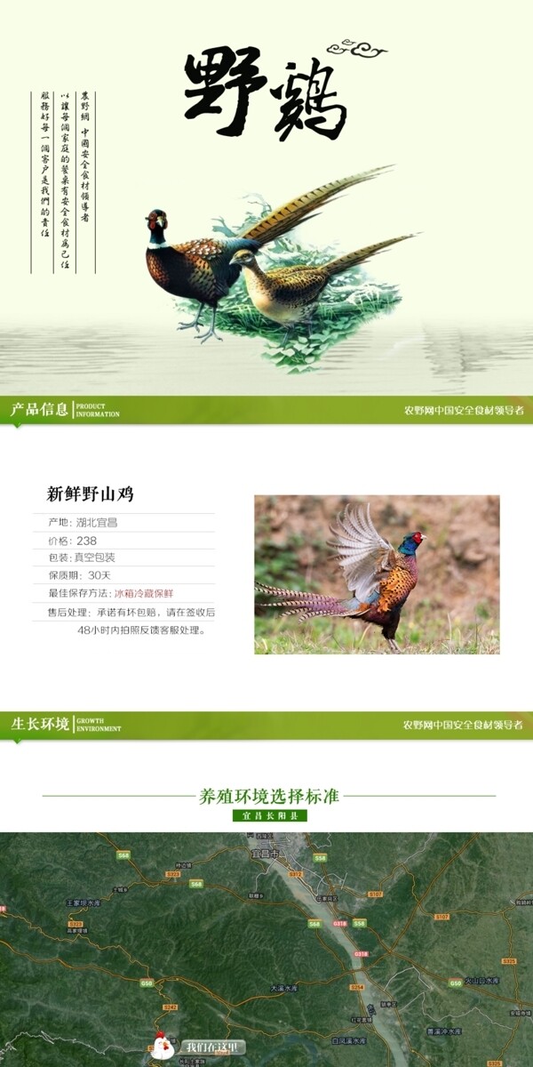 深度剖析，最新山雞的背景、事件與地位概述