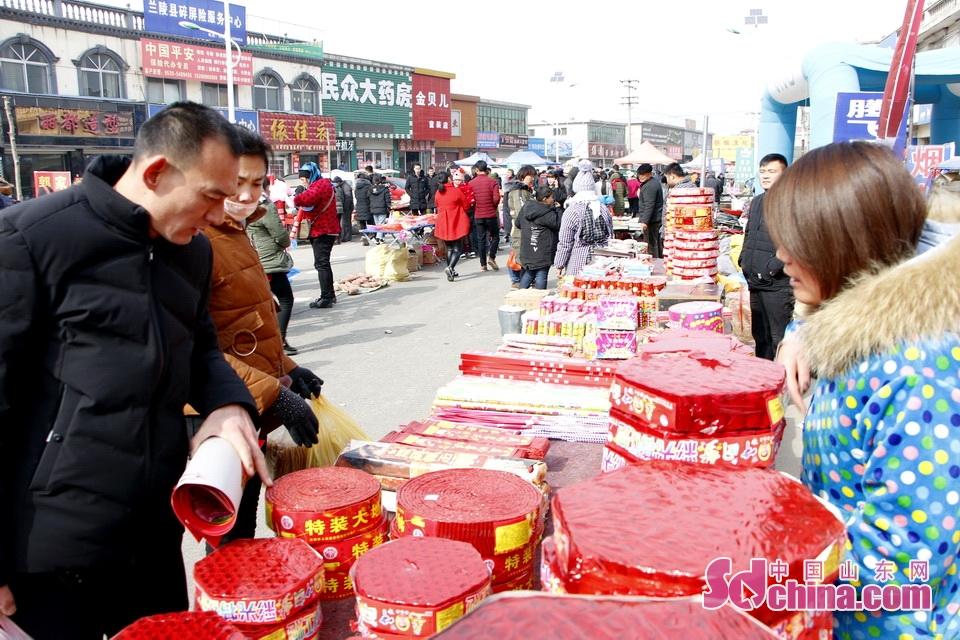 淘元素最新，淘淘的奇妙冒險之旅與友情的溫暖體驗