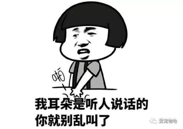 最新枕邊笑話(huà)，科技小寶貝，生活添樂(lè )趣