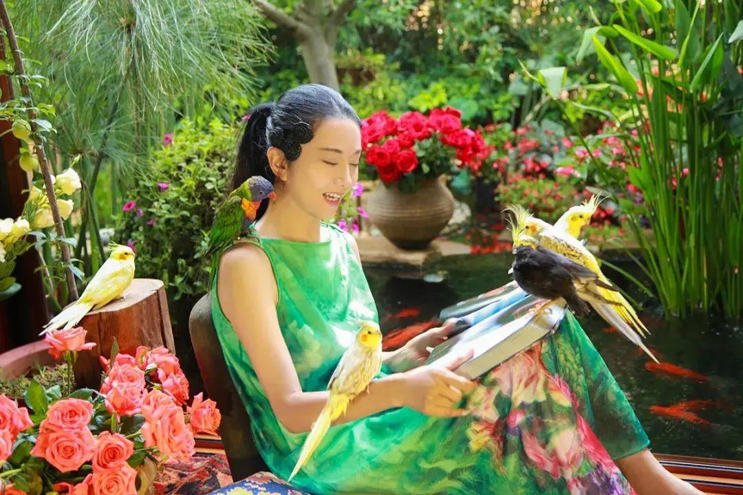 昆明最新舞蹈，文化現象的深度探討