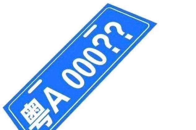 最新拍牌照，一段溫馨有趣的旅程