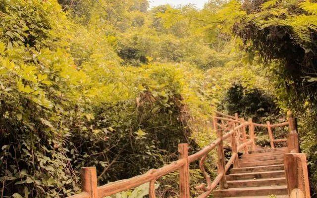 小99最新，科技、生活與娛樂(lè )的交融之地