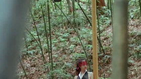 原野小年最新風(fēng)情，小巷深處的獨特魅力