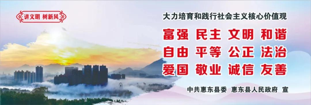 惠州肺炎最新動(dòng)態(tài)，小巷深處的獨特小店背后的故事