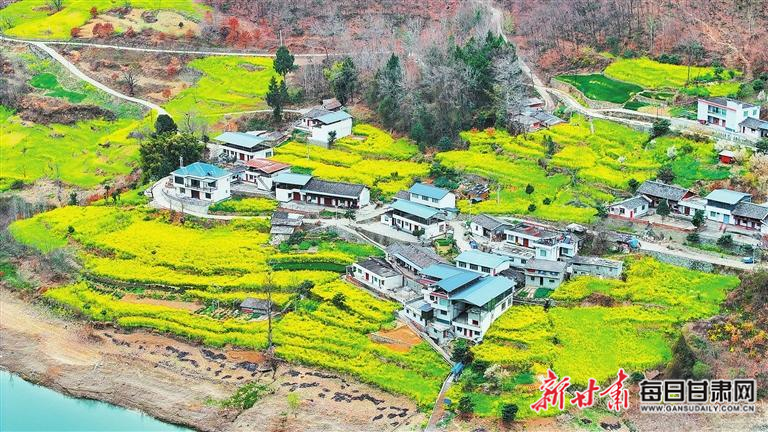 揭秘文縣，歷史背景、重大事件與時(shí)代地位全景展示