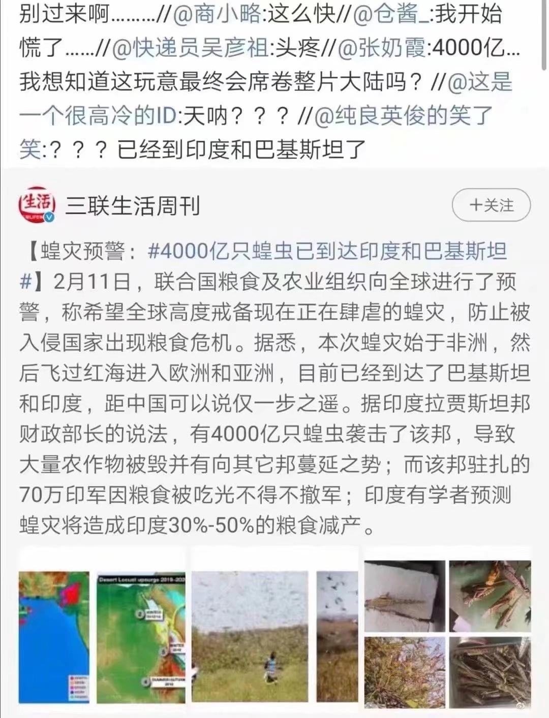蝗蟲(chóng)最新動(dòng)態(tài)，防治與監測的全面指南