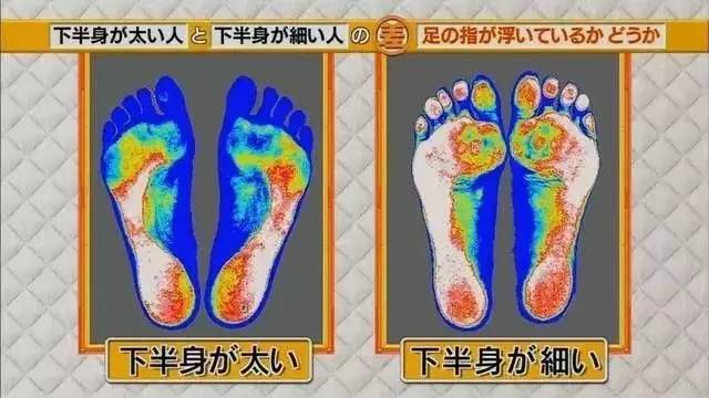 最新地趾論述，探索、爭議與觀(guān)點(diǎn)綜述
