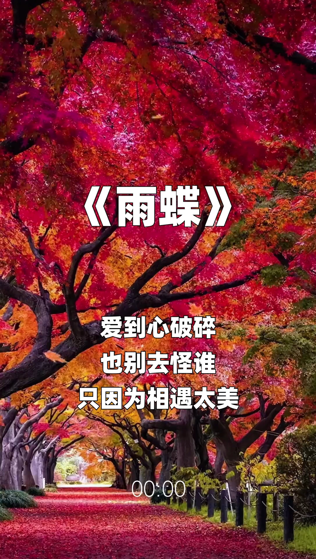 雨蝶最新步驟指南，如何完成任務(wù)或學(xué)習技能？