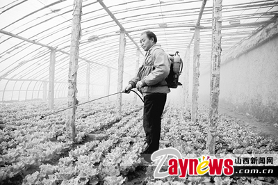 最新農藥抽檢結果出爐，守護農田安全，你我他的共同責任