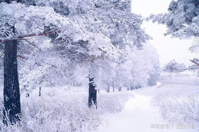 冬日暖陽(yáng)下的溫馨日常，最新冬美文精選