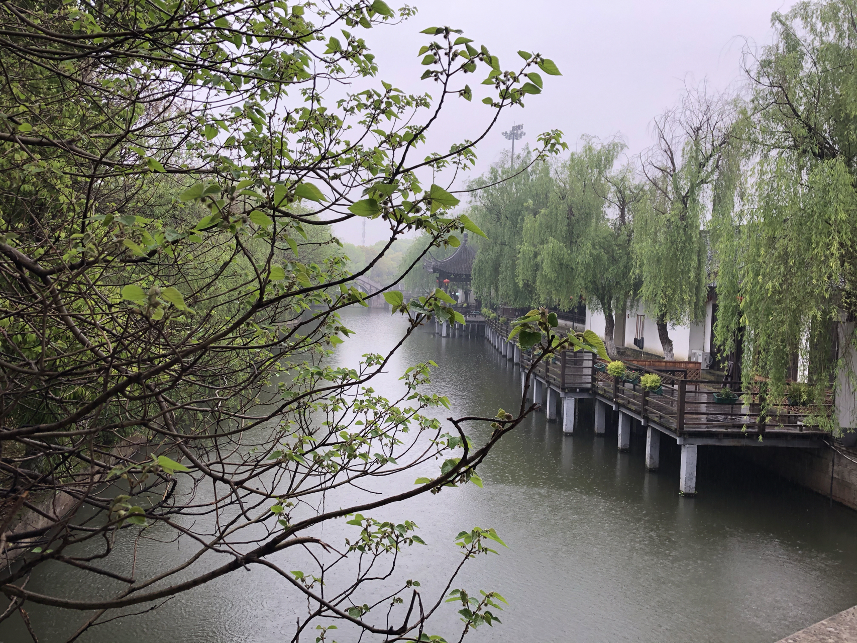 江南煙雨最新，自信與成就感的成長(cháng)之旅