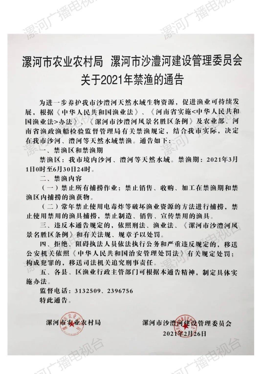 漯河最新通告，探索自然美景，尋覓內心寧靜與平和之旅