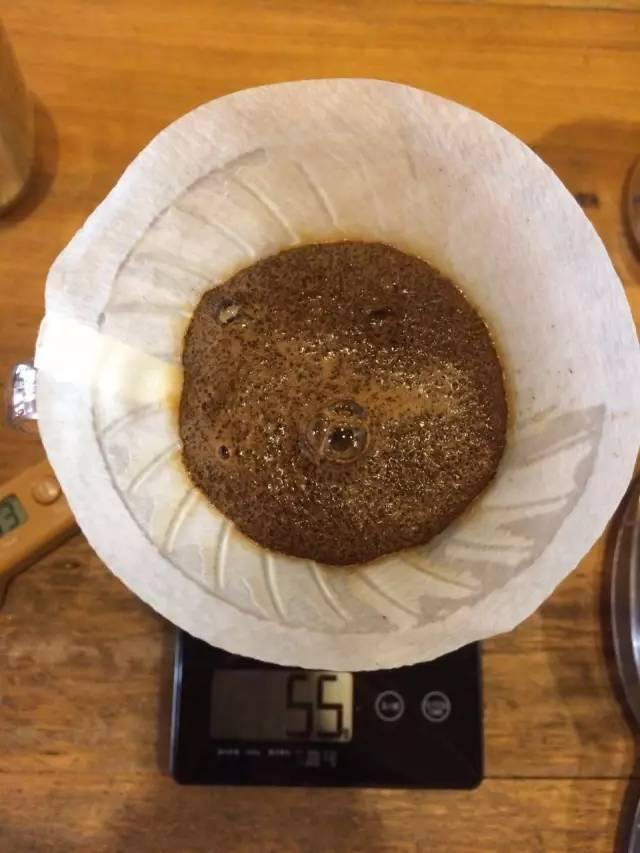 最新萃取法詳解，步驟指南與操作技巧