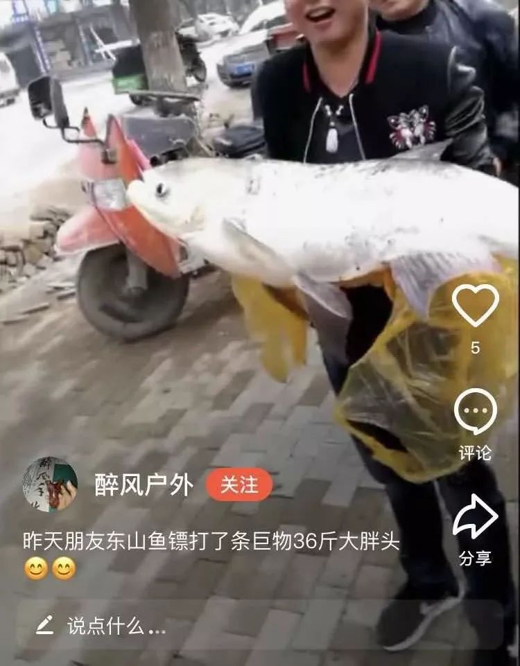 射魚(yú)神器進(jìn)化升級，學(xué)習變革與自信成就之源