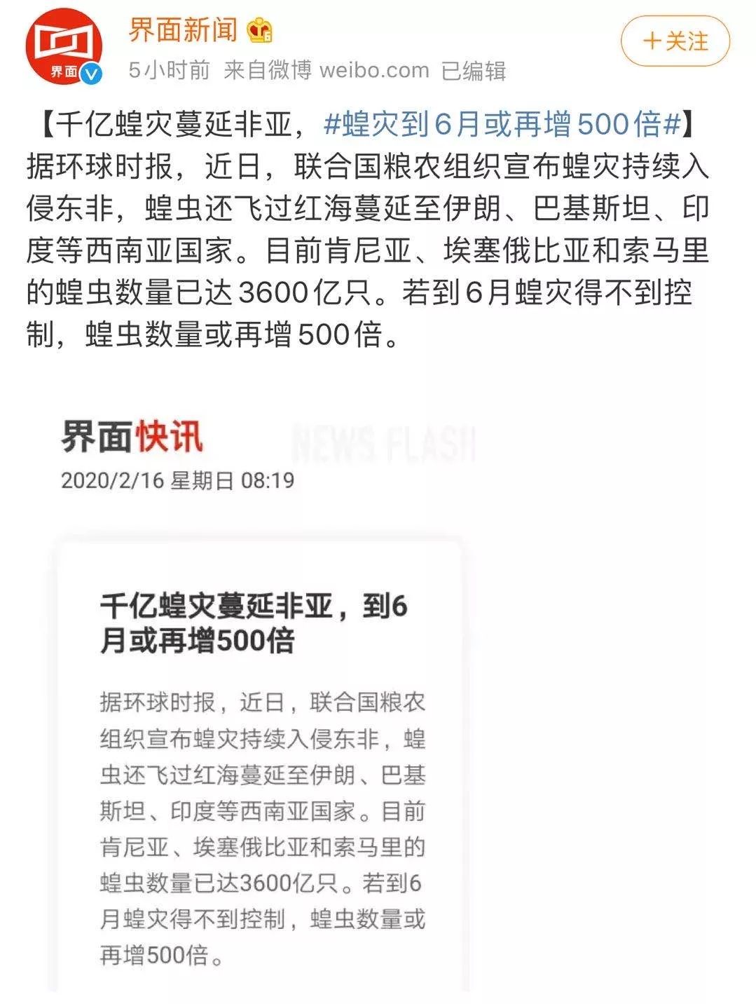 世界蝗災最新動(dòng)態(tài)，探索自然美景的輕松之旅