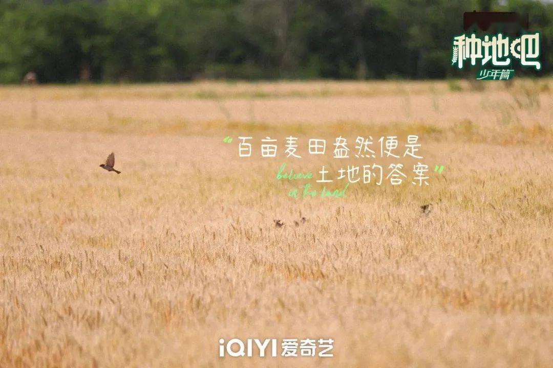 種地吧最新語(yǔ)錄，探索未來(lái)農業(yè)的高科技魅力
