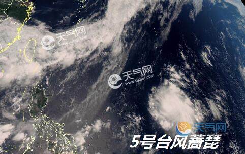 最新實(shí)時(shí)臺風(fēng)風(fēng)力查詢(xún)指南，風(fēng)力信息及查詢(xún)步驟全解析